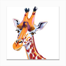Northern Giraffe 04 Canvas Print