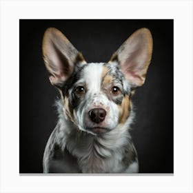 Portrait Of A Corgi Canvas Print