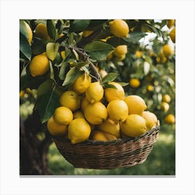 Basket Of Lemons 1 Canvas Print