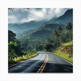 The road Canvas Print