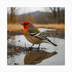 Red-Winged Blackbird Canvas Print