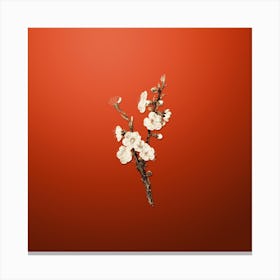 Gold Botanical Apricot Flower on Tomato Red n.2527 Canvas Print