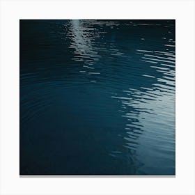 Reflection In The Water Canvas Print