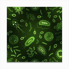 Bacteria And Viruses Canvas Print
