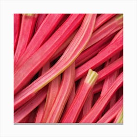 Rhubarb 14 Canvas Print