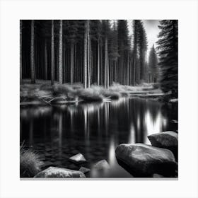 Black And White Forest 2 Canvas Print