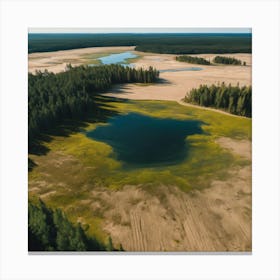 Aerial View Of A Lake 1 Canvas Print