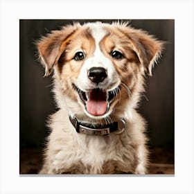 Australian Shepherd Puppy 1 Canvas Print