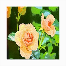 Roses Canvas Print