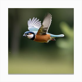 Pajaro Captadp Por La Camara Canvas Print