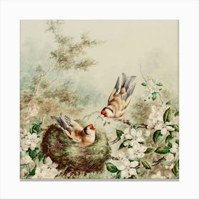 Nest 4 Canvas Print