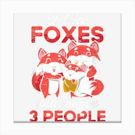 I Like Foxes And Maybe 3 People For A Carnivore Animal Canvas Print