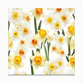 Daffodils 5 Canvas Print