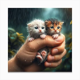 Two Kittens In The Rain 1 Canvas Print