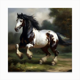 Charge Of The Skewbald Cob Horse Canvas Print