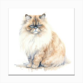 Persian Himalayan Cat Portrait Canvas Print