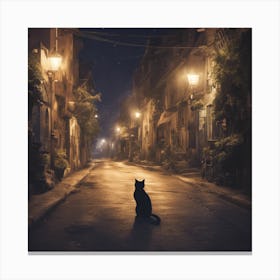 Cat In The Street At Night Canvas Print