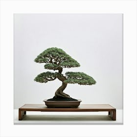 An Isolated Bonsai Tree Stands Resilient Amid A Zen Like Minimalist Setting Casting Soft Muted Sha Canvas Print