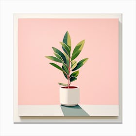 Plant In A Pot Canvas Print