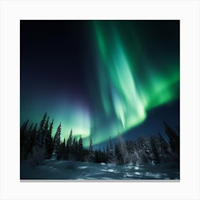 Nothern Light 3 064659 Canvas Print