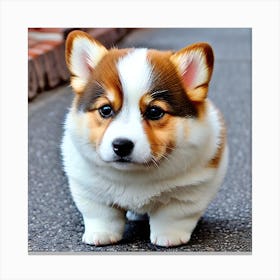 Corgi Puppy 4 Canvas Print