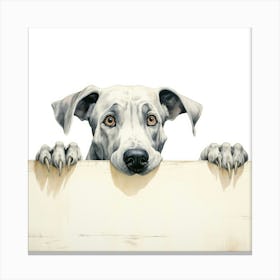 Great Dane 2 Canvas Print