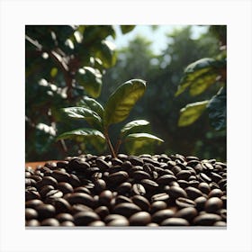 Coffee Beans 137 Canvas Print