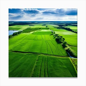 Grass Peace Air Structure Pasture Soy Bean High Country Rural Green Farm Overhead Natur (10) Canvas Print