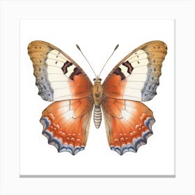 Butterfly 6 Canvas Print