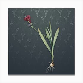 Vintage Gladiolus Mucronatus Botanical on Slate Gray Pattern n.2096 Canvas Print