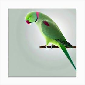 Parrot On A Branch 4 Canvas Print