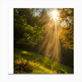 Sunbeams Through The Trees Canvas Print