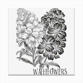 Wallflowers Retro Antique Print Classic Bouquet Canvas Print