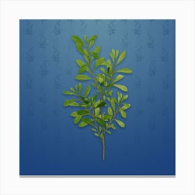 Vintage Bog Myrtle Botanical on Bahama Blue Pattern n.1270 Canvas Print