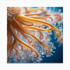 Octopus Canvas Print