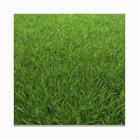 Green Grass 53 Canvas Print