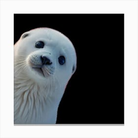 Seal Pup Canvas Print