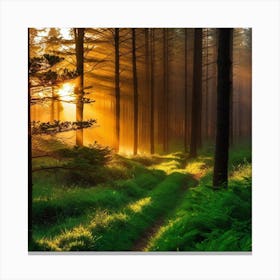 Sunrise In The Forest 33 Canvas Print