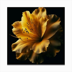 Yellow Azalea Flower Canvas Print