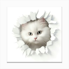 White Cat Peeking Out Of A Hole Canvas Print