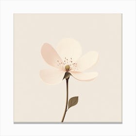 Pink Flower 1 Canvas Print