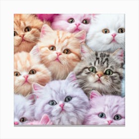 Group Of Kittens Canvas Print