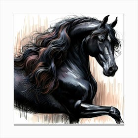 Black Stallion Horse Creative Drawing Canvas Print