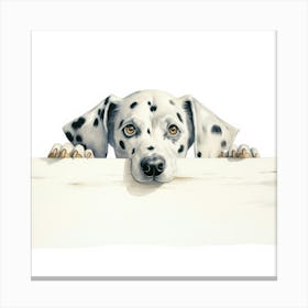 Dalmatian 7 Canvas Print