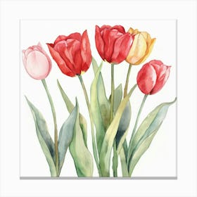 Watercolor Tulips 3 Canvas Print