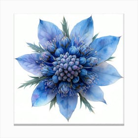 Blue Fennel Flower Canvas Print