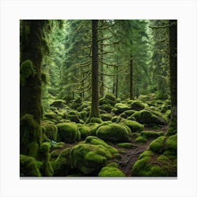 Mossy Forest Canvas Print