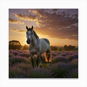 Horse In Lavender Field At Sunset 7 Canvas Print