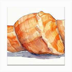 Watercolor Of A Seashell Canvas Print