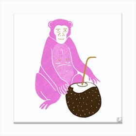 Pink Monkey With Coconut Square Canvas Print
